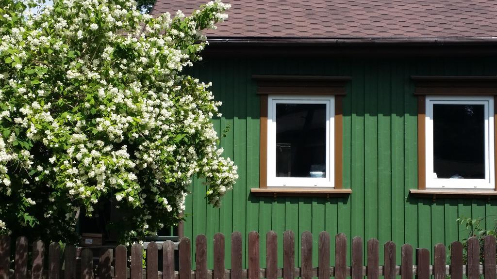 Summer House Ventspils Exterior photo